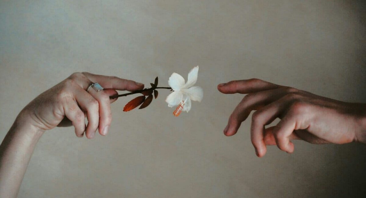 PLANTE-fleur-mains-scaled.jpg